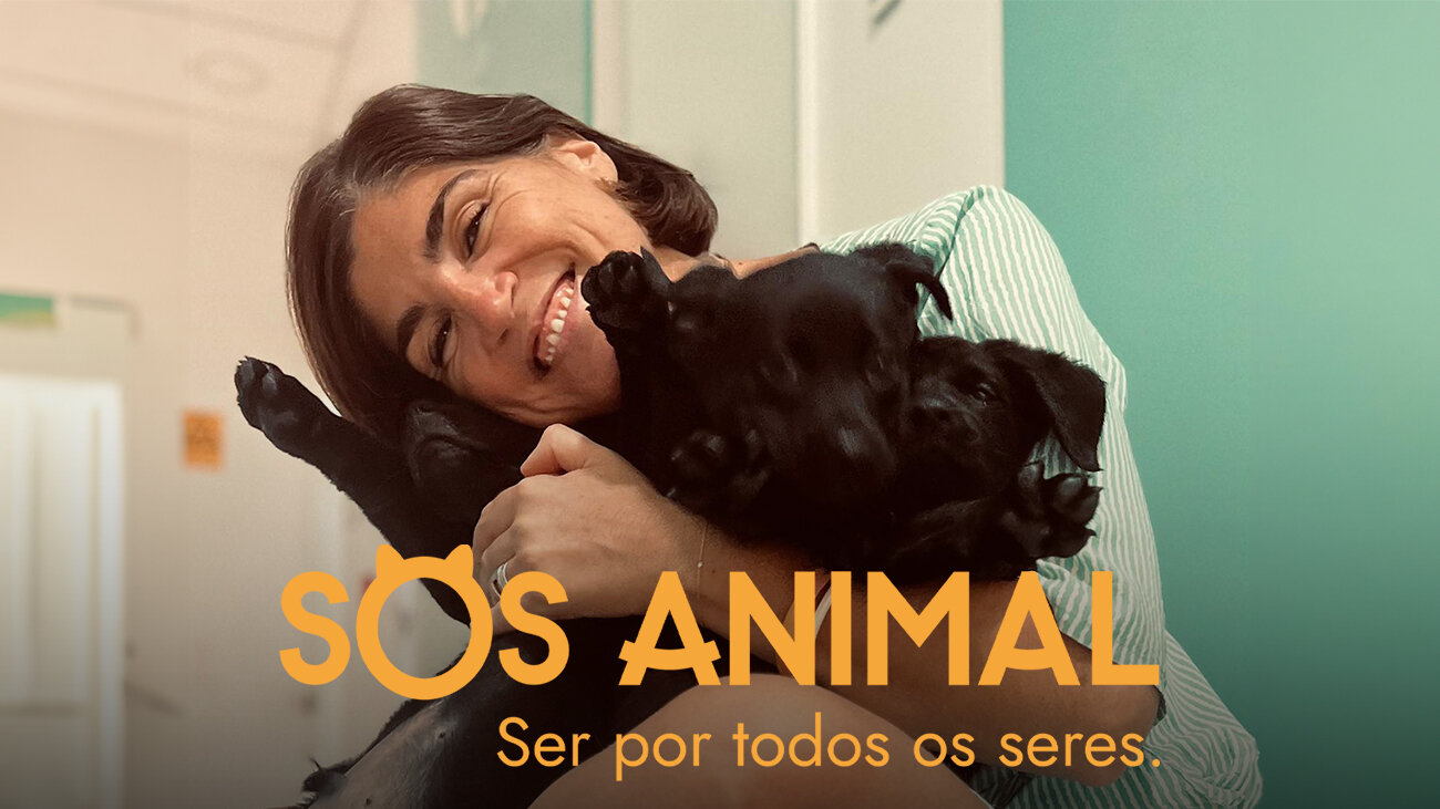 SOS Animal na SIC – Plant Based Menu Pátio da Graça